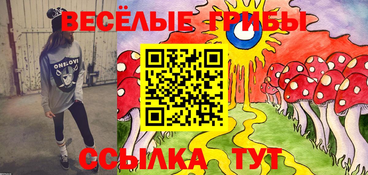 Псилоцибиновые грибы Psilocybine cubensis Боровичи